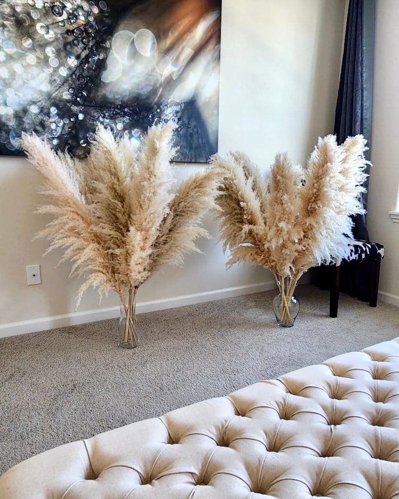 5 Stems TALL PAMPAS GRASS 2-4ft | Grand Sale | Dry