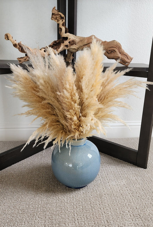 5 Stems TALL PAMPAS GRASS 2-4ft | Grand Sale | Dry