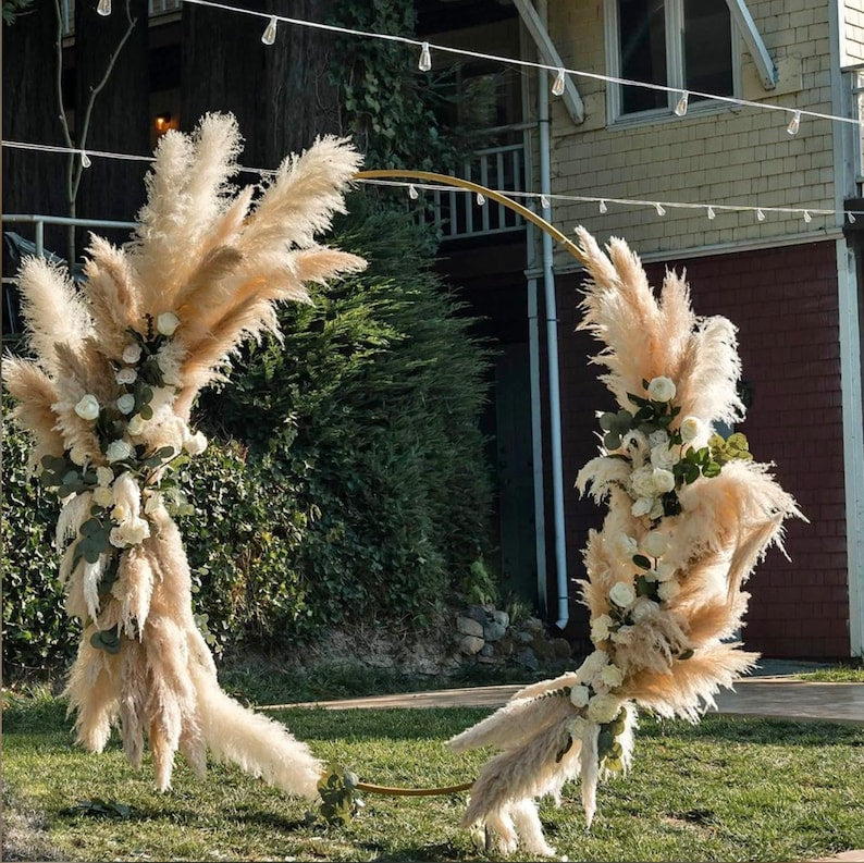 5 Stems TALL PAMPAS GRASS 2-4ft | Grand Sale | Dry